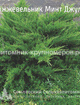 Можжевельник Минт Джулеп min